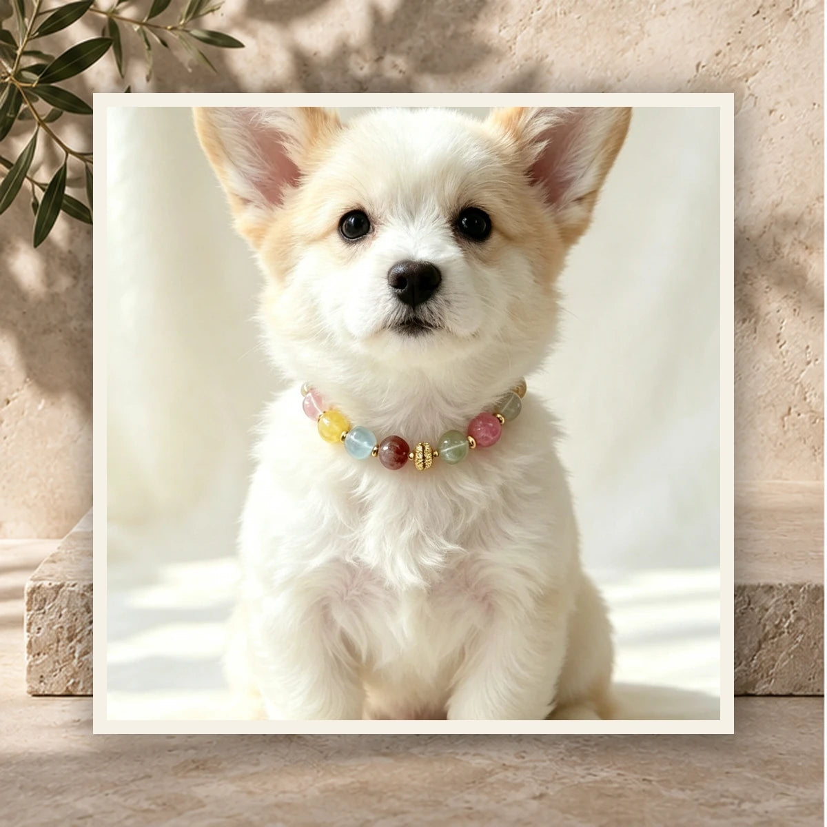 Rainbow Bond Pet and Owner Set — product view 3