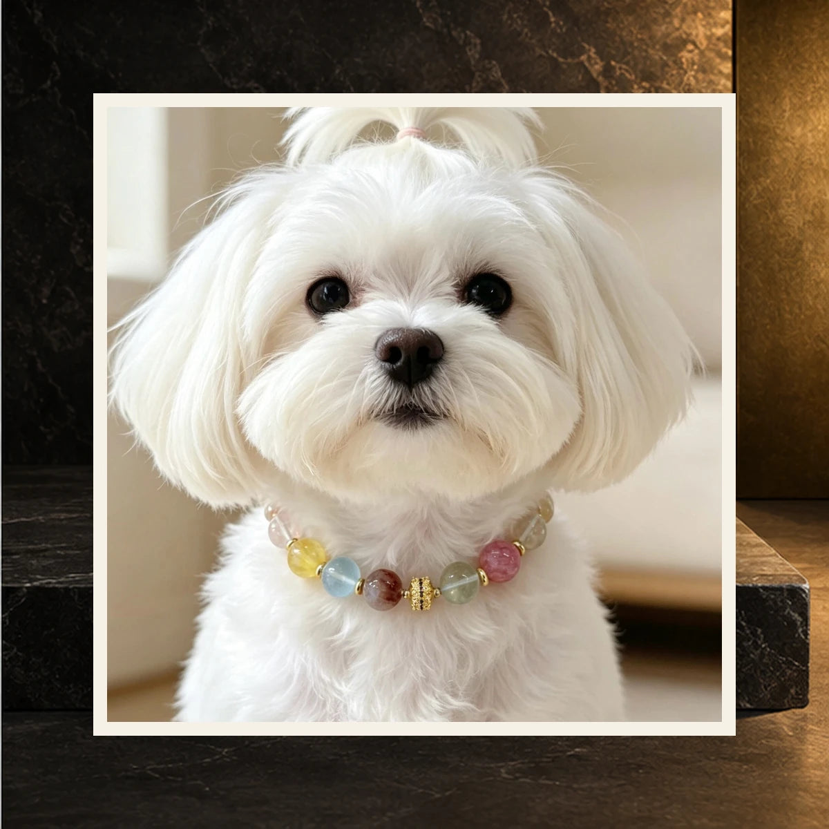 Multi Gem Bond Pet and Owner Set — product view 4