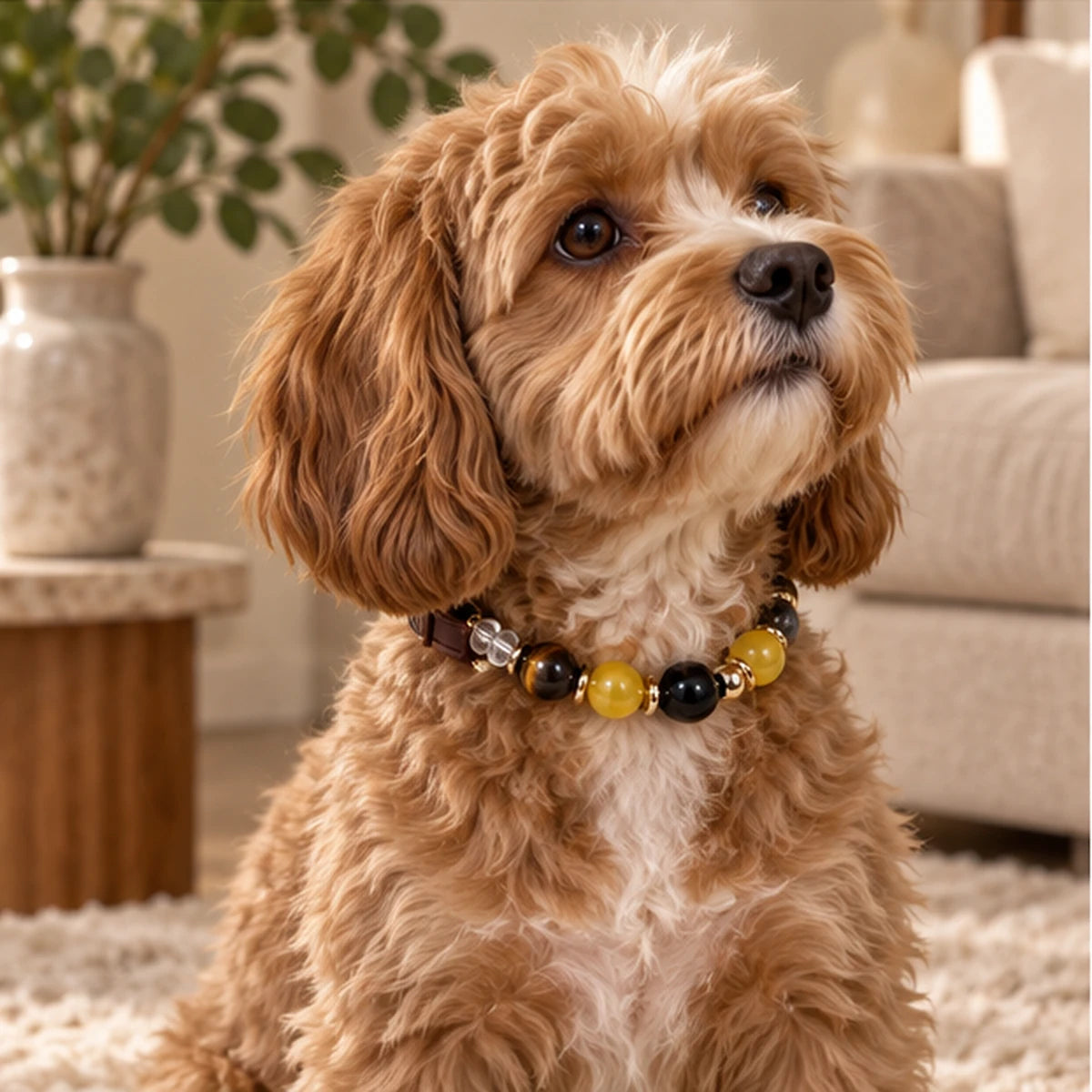 Sunrise Bond Pet and Owner Set — product view 3