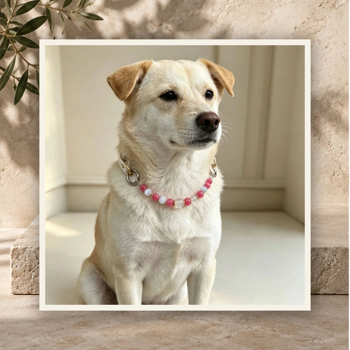 Cloud Rose Pet Crystal Collar — product view 3