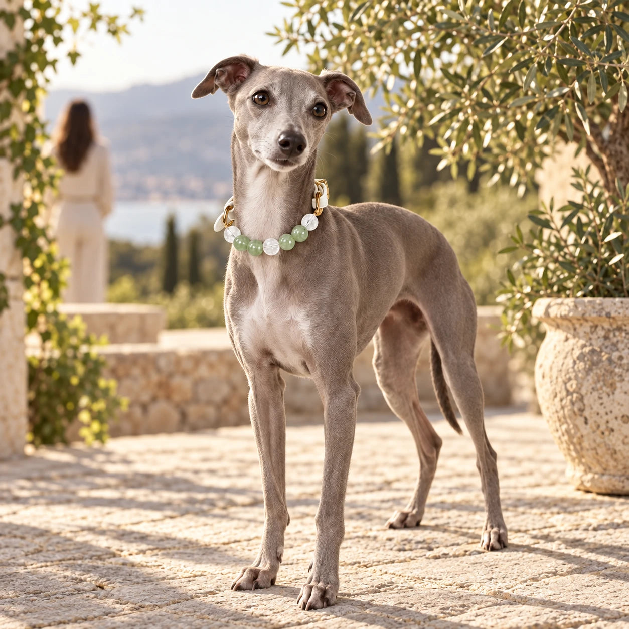 Nocturne Leather Natural Crystal Pet Collar