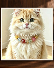 Rainbow Bond Pet and Owner Set — product view 2