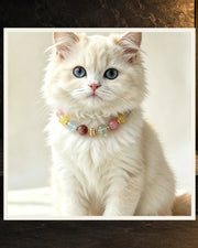 Rainbow Bond Pet and Owner Set — product view 4