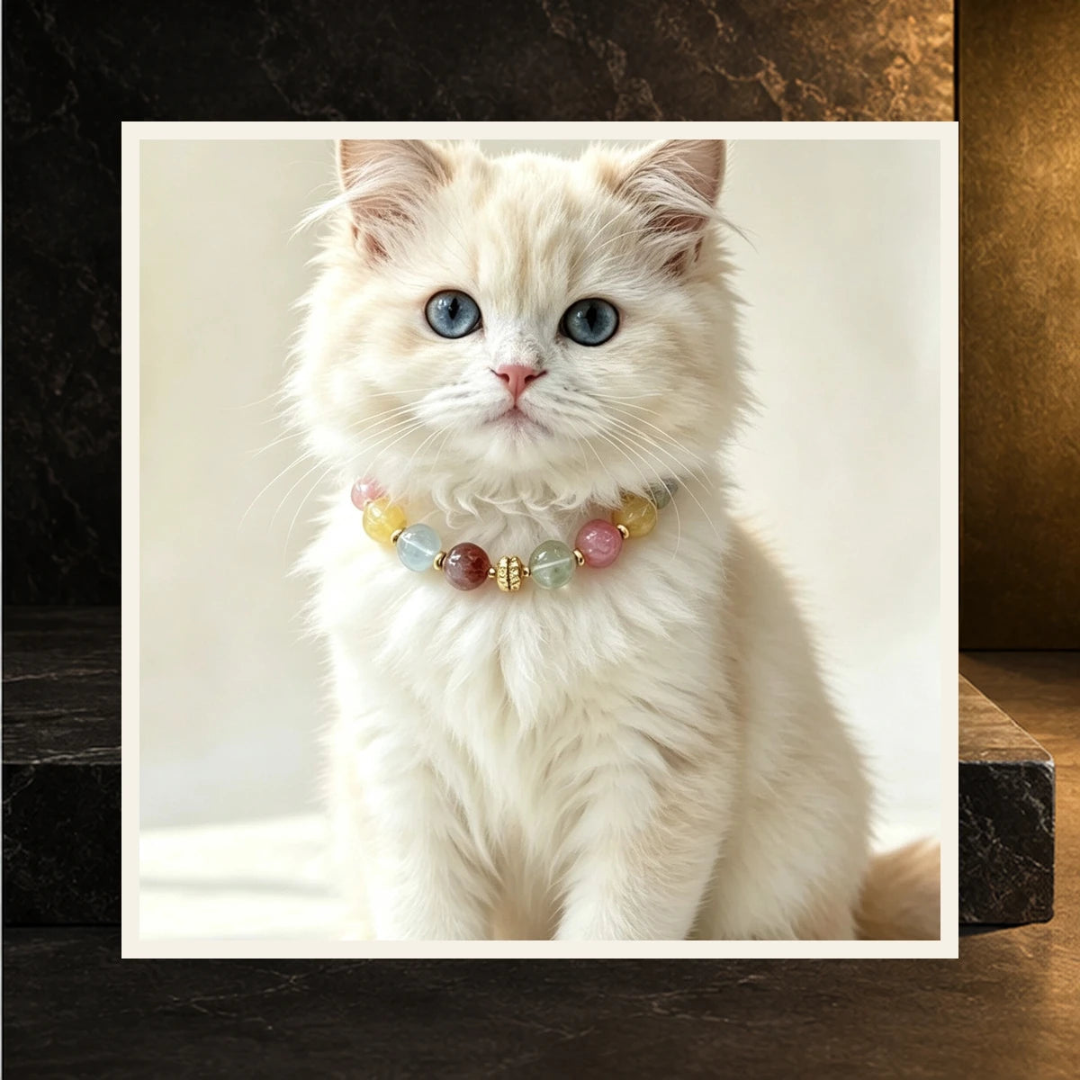 Rainbow Bond Pet and Owner Set — product view 4