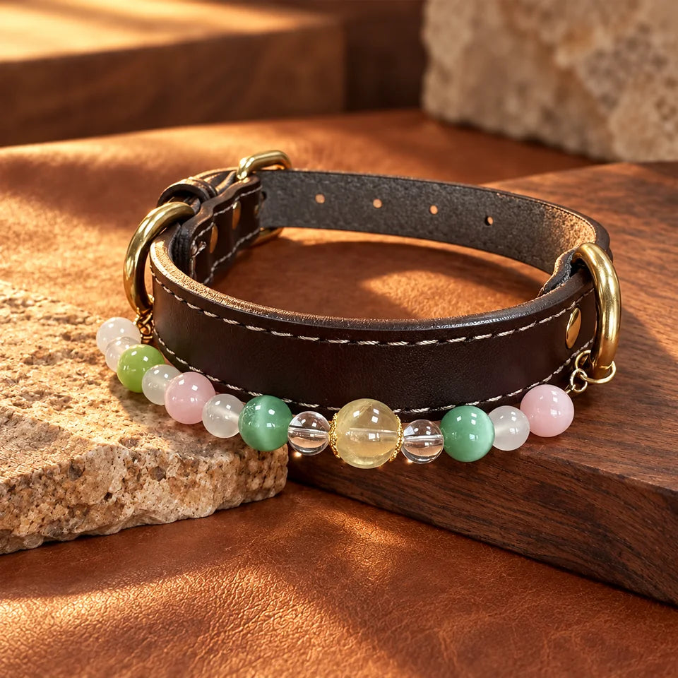Quiet Stone Natural Crystal Pet Necklace — natural crystal you & your companion scene 3