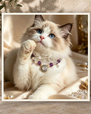 Amethyst Nocturne Pet Collar — product view 3