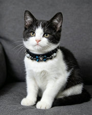 Midnight Jewel Natural Crystal Pet Collar — natural crystal you & your companion scene 2
