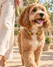 East Sea Matching Crystal Pet Collar — natural crystal you & your companion scene 3