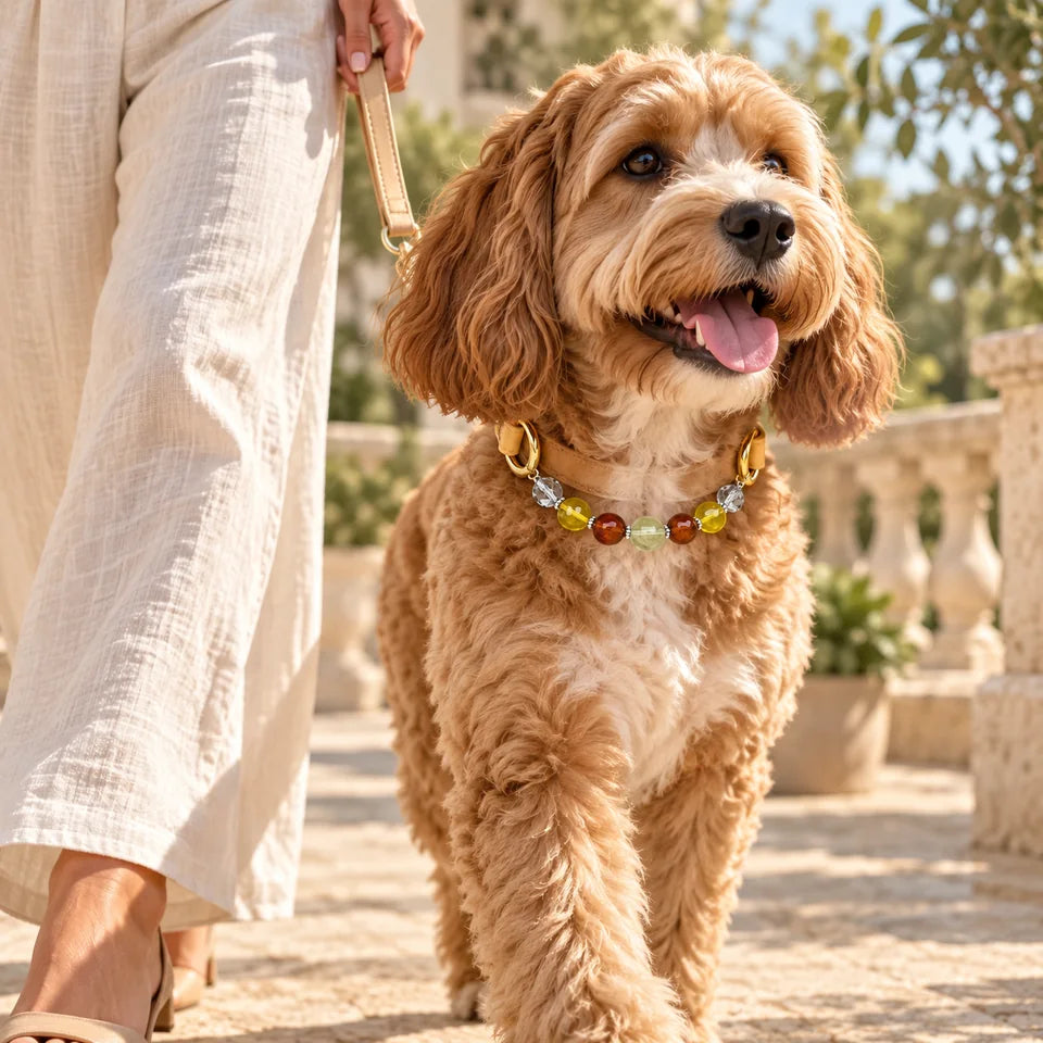 East Sea Matching Crystal Pet Collar — natural crystal you & your companion scene 3