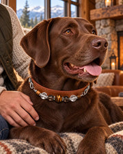 Vintage Stone Natural Crystal Pet Collar — natural crystal you & your companion scene 3