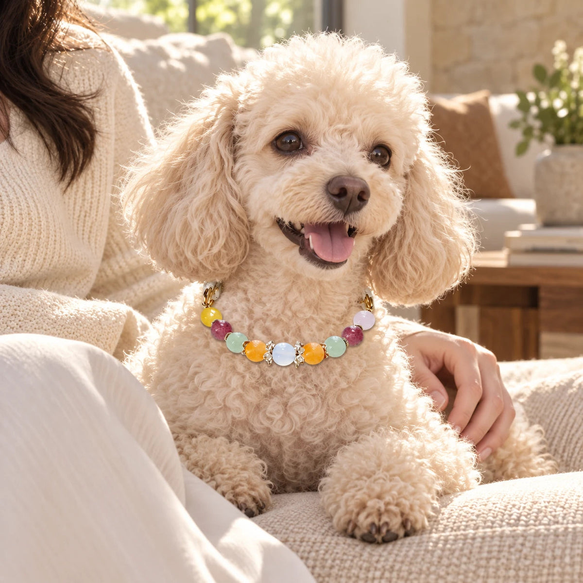 Silver Dawn Natural Crystal Pet Necklace — natural crystal you & your companion scene 1
