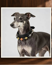 Midnight Leather Crystal Pet Collar — product view 2