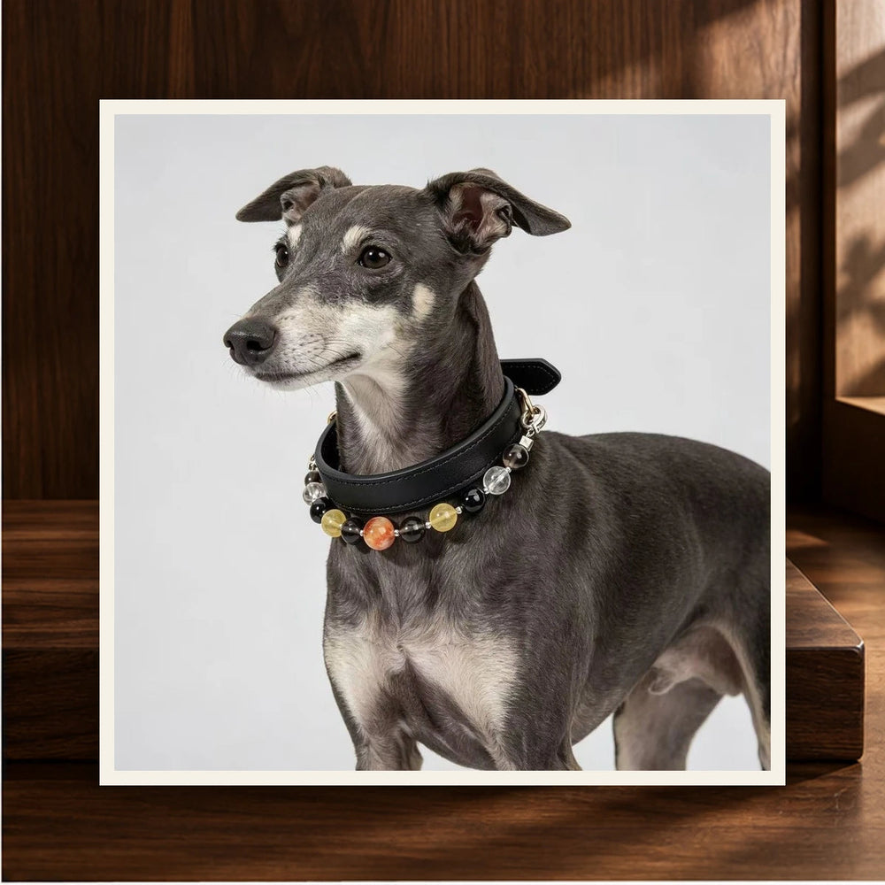 Midnight Leather Crystal Pet Collar