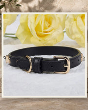 Midnight Leather Crystal Pet Collar — product view 3