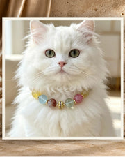 Multi Gem Bond Pet and Owner Set — product view 1