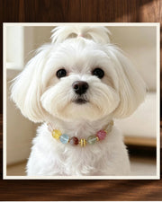 Multi Gem Bond Pet and Owner Set — product view 2
