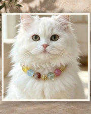 Multi Gem Bond Pet and Owner Set — product view 3