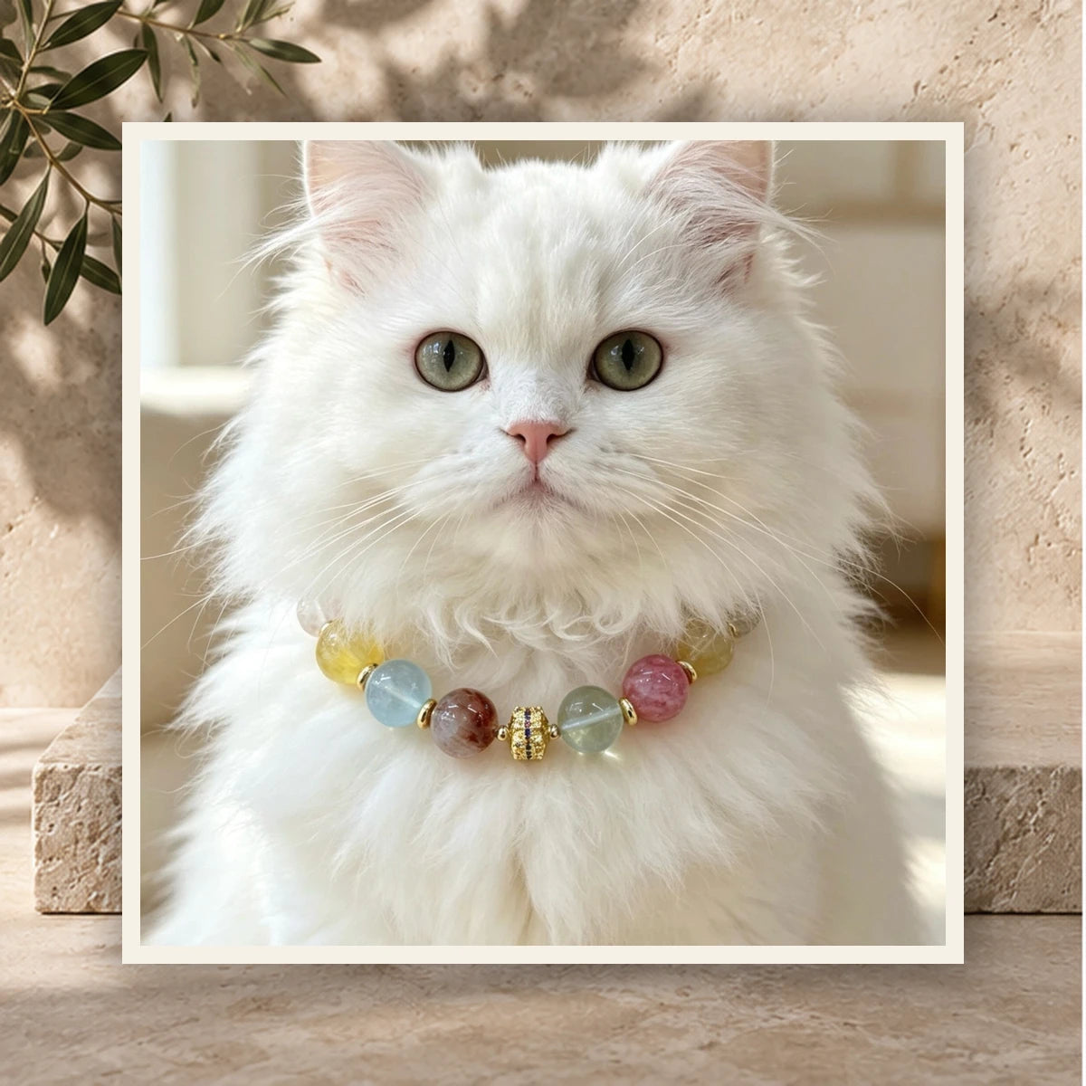 Multi Gem Bond Pet and Owner Set — product view 3