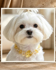 Lemon Quartz Bond Pet and Owner Set — product view 1
