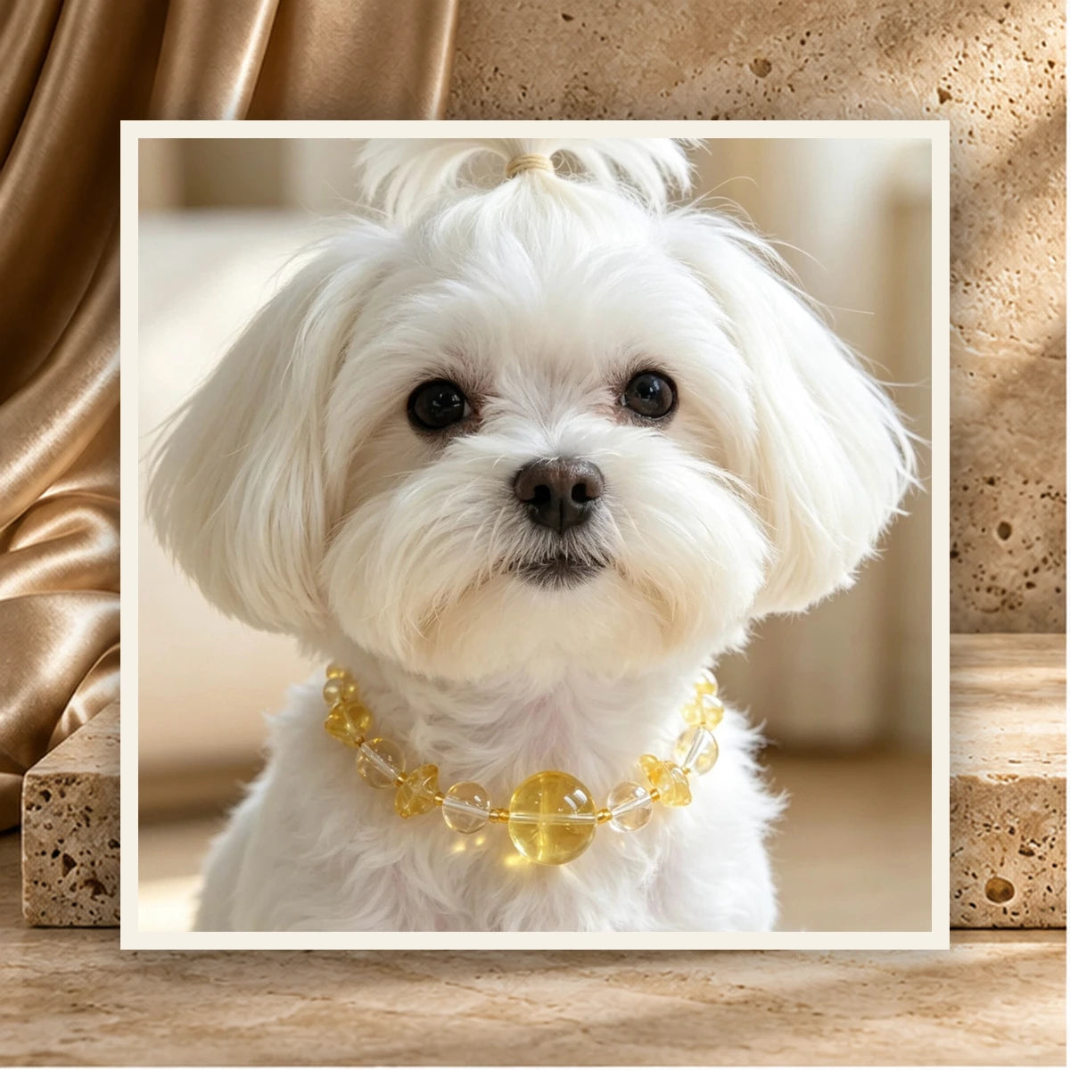 Lemon Quartz Bond Pet and Owner Set — product view 1