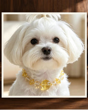 Lemon Quartz Bond Pet and Owner Set — product view 2