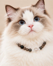 Five Element Custom Pet Collar — product view 3