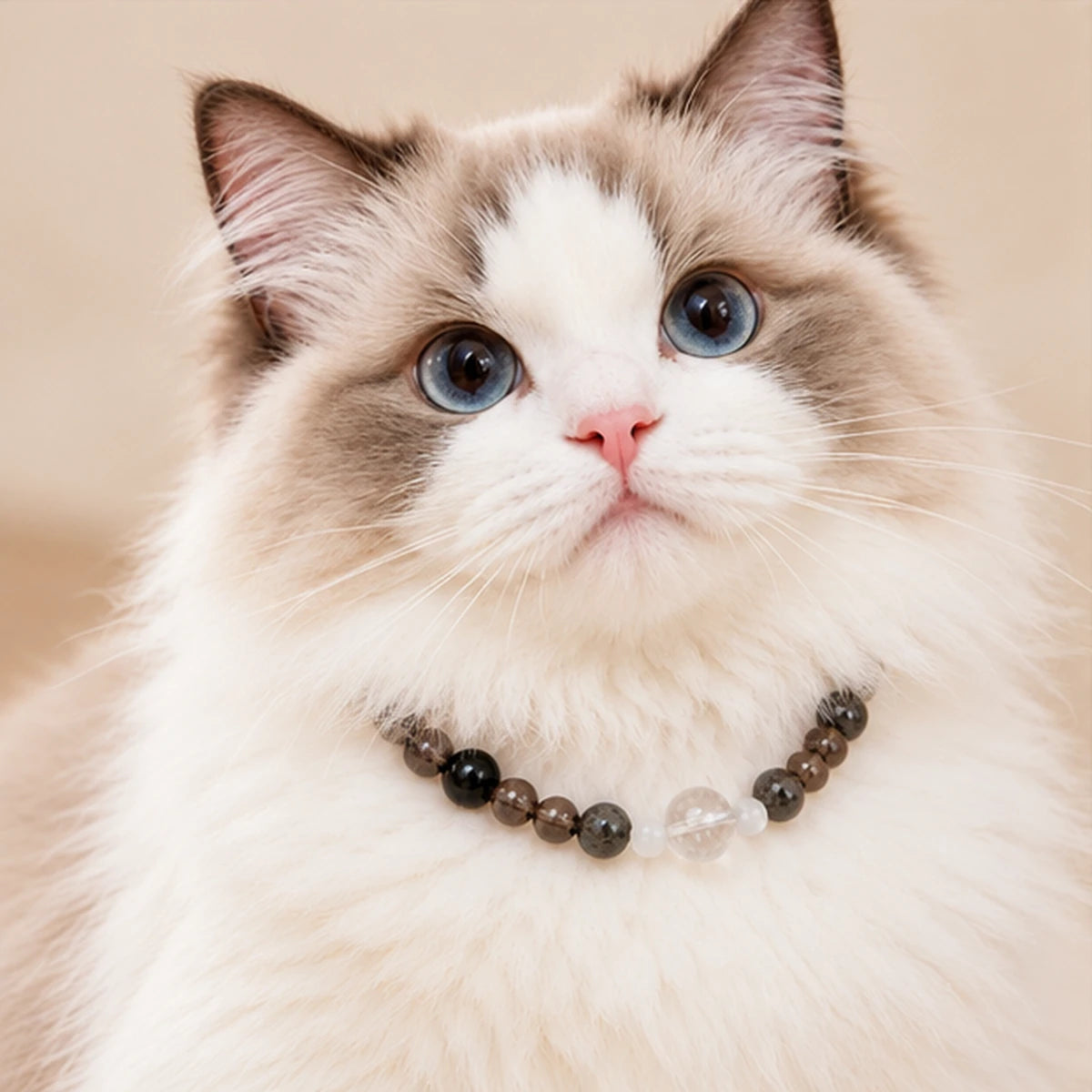 Five Element Custom Pet Collar — product view 3