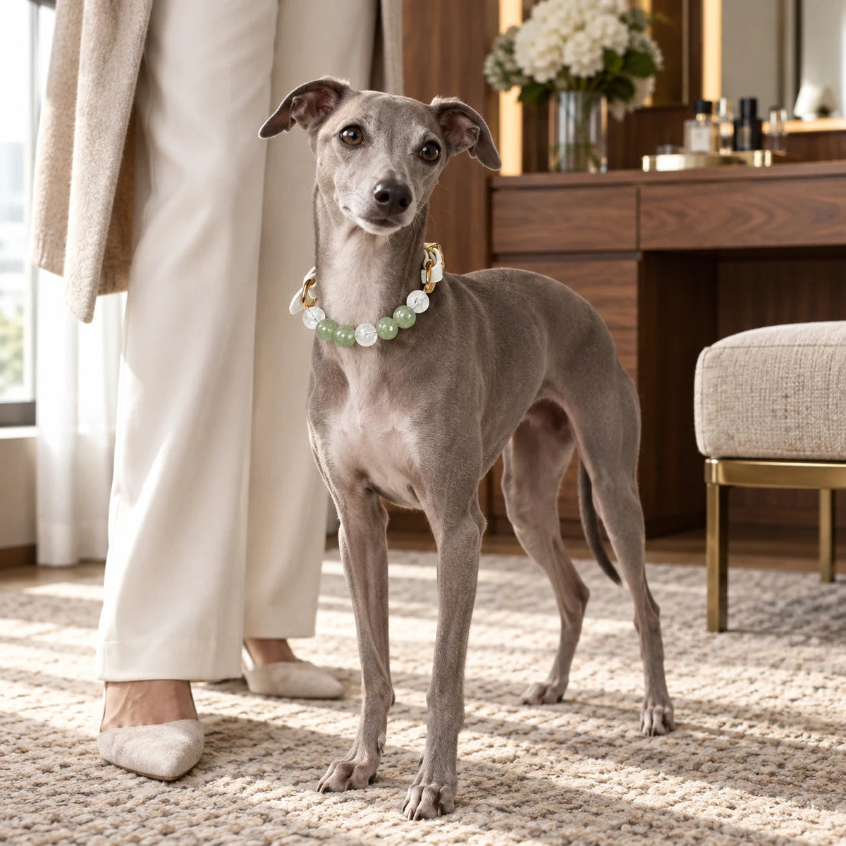 Nocturne Leather Natural Crystal Pet Collar — natural crystal you & your companion scene 1
