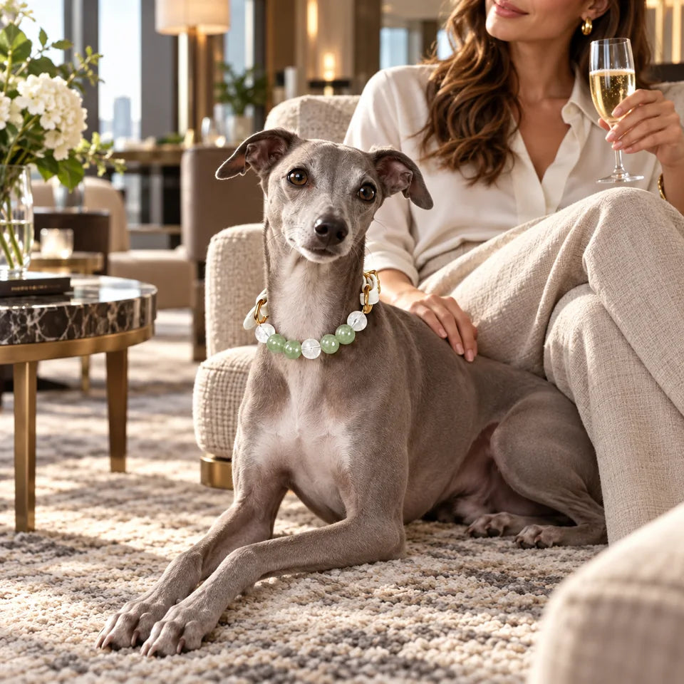 Nocturne Leather Natural Crystal Pet Collar — natural crystal you & your companion scene 3