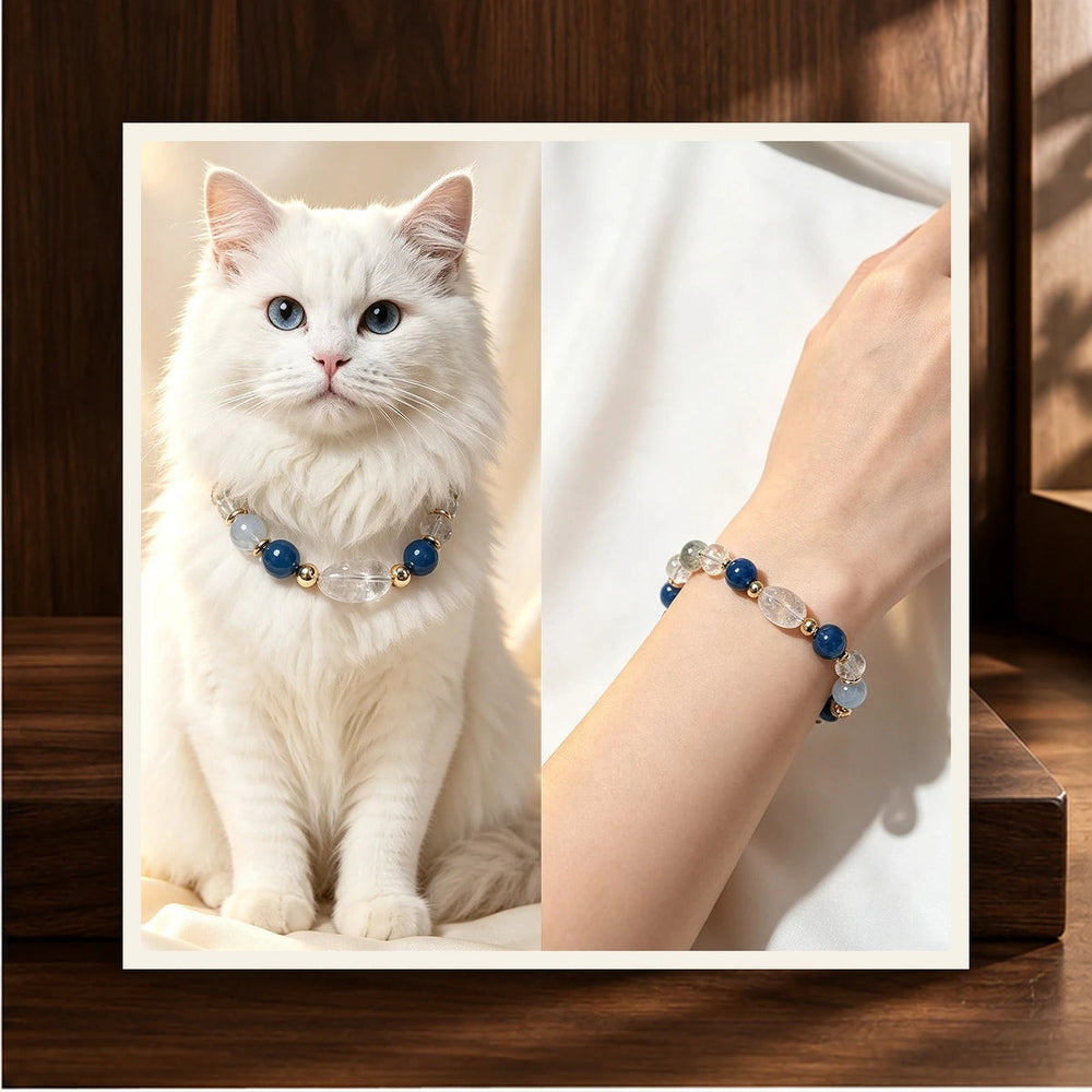 Ocean Blue Bond Pet and Owner Set
