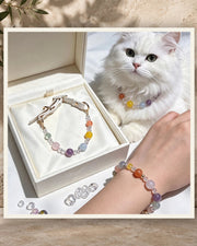 Ocean Blue Bond Pet and Owner Set — product view 3