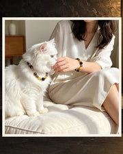 Ocean Blue Bond Pet and Owner Set — product view 4