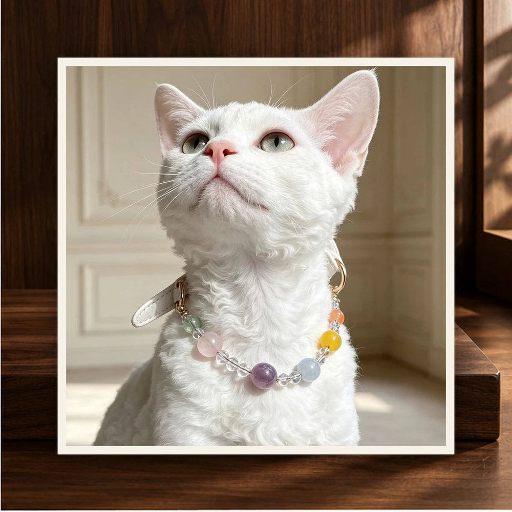 Amber Orbit Pet Crystal Collar