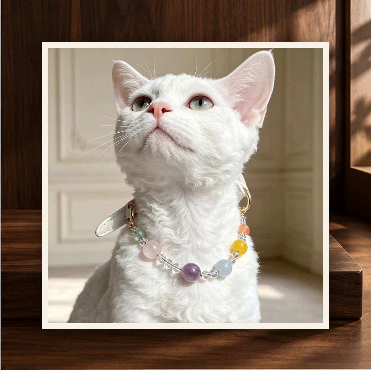 Amber Orbit Pet Crystal Collar — product view 2