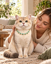Qinglan Natural Crystal Pet Collar — natural crystal you & your companion scene 2