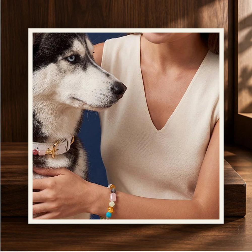 Pearl Light Pet and Owner Set