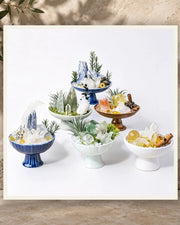 Mini Amethyst Botanical Bowl — product view 3