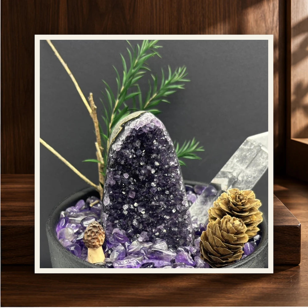 Amethyst Crystal Garden