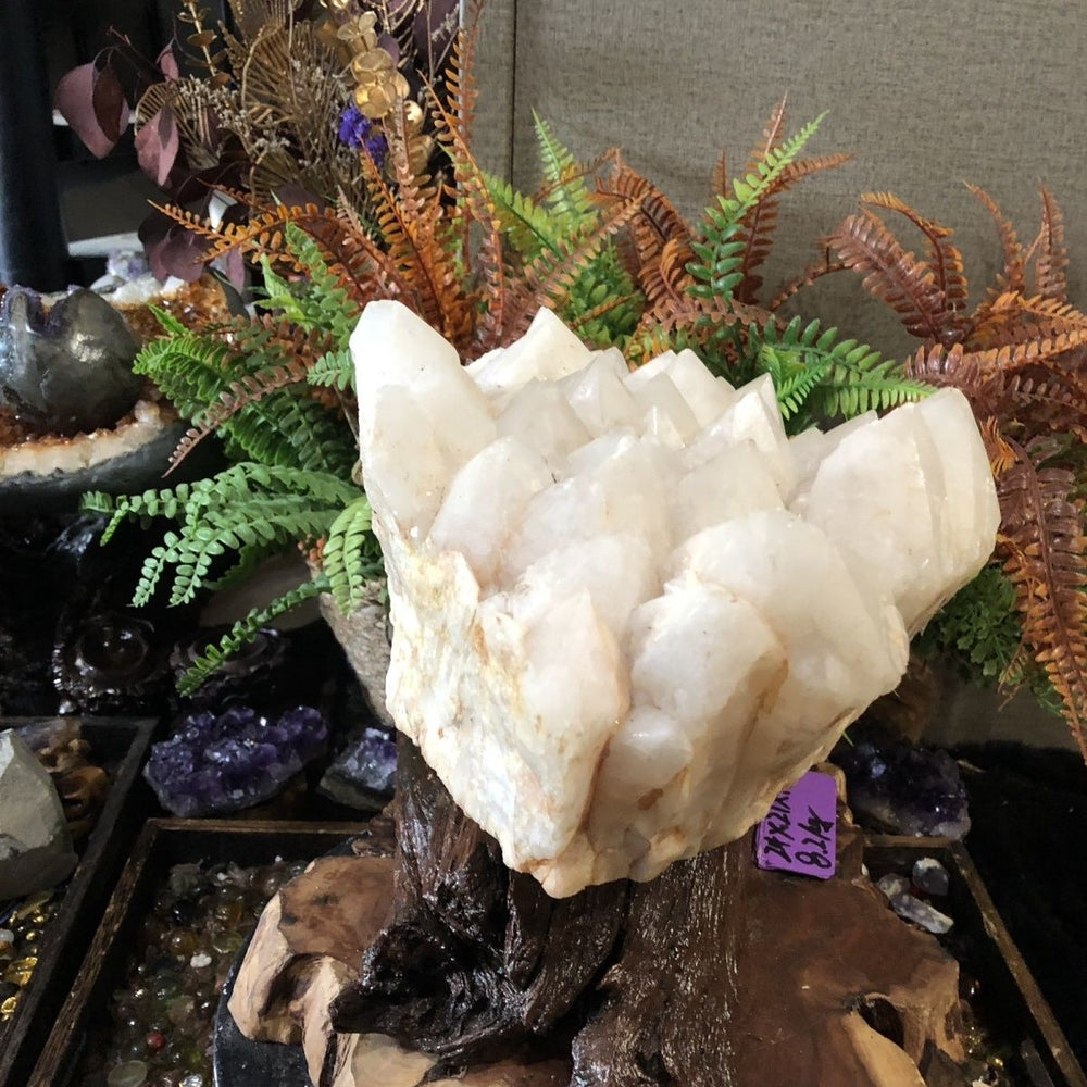 Monumental Clear Crystal Cluster