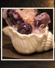 Amethyst Shell Garden — product view 4